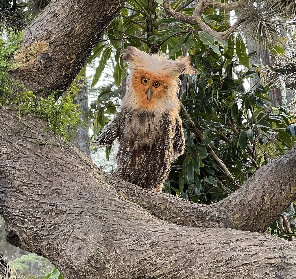 Apple Voice Owl - Odd Studio